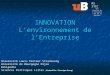 INNOVATION Lenvironnement de lEntreprise M1 STIC CG2 Gestion de lInnovation et de la Qualité Université Louis Pasteur Strasbourg Université de Bourgogne