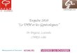 Enquête 2010Le THM et les Gynécologues Dr Brigitte Letombe CHRU Lille