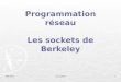 BTS IRIS 2Les sockets1 Programmation réseau Les sockets de Berkeley