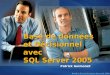Base de donn é es et D é cisionnel avec SQL Server 2005 Patrick Guimonet