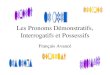 Les Pronoms Démonstratifs, Interrogatifs et Possessifs Français Avancé
