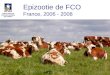 Epizootie de FCO France, 2006 - 2008. Sérotypes 4 et 2 circulaient depuis 2003 dans le bassin méditerranéen au Maroc, au sud de l' 1 Avant 2006