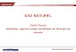 CARBURANTS ET VEHICULES ALTERNATIFS  GAZ NATUREL Carlos Sousa AGENEAL, Agence Locale de Gestion de lEnergie de Almada
