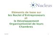 05/20071 El©ments de base sur les Nuclei dEntrepreneurs et le D©veloppement Organisationnel de leurs Chambres