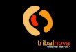 Tribal Nova logo. Habitudes de consommation média des jeunes Changement de loffre et des paramètres industriels