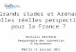 Nathalie GAUTRAUD Responsable des subvention déquipement ANDIIS 19 janvier 2011 Grands stades et Arénas Quelles réelles perspectives pour la France ?
