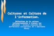 Cultures et Culture de linformation. Définition de la culture informationnelle à travers les discours : analyse comparée des différentes conceptions de