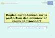 1 Règles européennes sur la protection des animaux en cours de transport Une présentation de la Commission Européenne