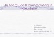 Un aperçu de la bioinformatique moléculaire A. Denise Bioinformatique LRI Orsay Université Paris-Sud 11