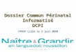 Dossier Commun Périnatal Informatisé DCPI FFRSP Lille le 3 juin 2010 FFRSP Lille 3 juin 2010
