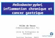Helicobacter pylori, inflammation chronique et cancer gastrique Hilde de Reuse (hdereuse@ ) Unité de Pathogenèse de Helicobacter Institut Pasteur,
