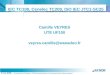 Référence IEC TC100, Cenelec TC209, ISO IEC JTC1-SC25 Camille VEYRES UTE UF100 veyres.camille@wanadoo.fr CGTeC Commission Générale « Télécommunications