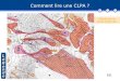 Comment lire une CLPA ? Extrait de la CLPA d'Oô (31) S Fin
