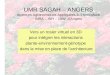 UMR SAGAH – ANGERS Sciences Agronomiques Appliquées à lHorticulture INRA – INH – Univ. dAngers Vers un rosier virtuel en 3D pour intégrer les interactions