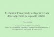 Méthodes danalyse de la structure et du développement de la plante entière Yann Guédon Équipe de recherche INRIA Virtual Plants UMR CIRAD/INRA/IRD/Montpellier