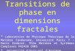 Transitions de phase en dimensions fractales * Laboratoire de Physique Théorique de la Matière Condensée, Université Paris 7 - Denis Diderot. Pôle Matière