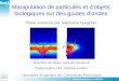2005 Stéphanie Gaugiran le 29/09/05 1 Manipulation de particules et dobjets biologiques sur des guides dondes Directeur de thèse: Jacques Derouard Responsable
