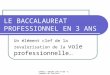 DAFPIC- GROUPE IEN ET/EG - Académie de Poitiers LE BACCALAUREAT PROFESSIONNEL EN 3 ANS Un élément clef de la revalorisation de la voie professionnelle