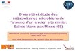 Diversité et étude des métabolismes microbiens de larsenic dun ancien site minier, Sainte Marie aux Mines (68) Séminaire RP2E - Audrey CORDI le 28 janvier