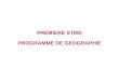 PREMIERE STMG PROGRAMME DE GEOGRAPHIE. THEME 3 : LA FRANCE : DYNAMIQUE DE LOCALISATION DES ACTIVITES