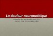 La douleur neuropathique Présenté par Najlaa Houssaini RII Journal Club 18 septembre 2012