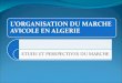 LORGANISATION DU MARCHE AVICOLE EN ALGERIE ETUDE ET PERSPECTIVES DU MARCHE