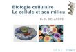 Dr D. DELARBRE. Programme La notion de vie cellulaire Cytologie : structure de la cellule animale Cycle cellulaire Synthèse protéique Différenciation