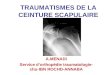 TRAUMATISMES DE LA CEINTURE SCAPULAIRE A.MENADI Service dorthopédie traumatologie- chu-IBN ROCHD-ANNABA