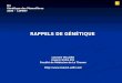 RAPPELS DE GÉNÉTIQUE Laurent VILLARD Inserm Unité 491 Faculté de Médecine de La Timone  M1 Génétique des Mammifères 2006 - LUMINY