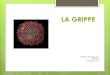 Francine De Salvador- Guillouët Octobre 2013. 2 Les Virus de la Grippe Myxovirus influenzae, virus à ARN, non spécifiques de l homme 3 types majeurs :