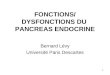 1 FONCTIONS/DYSFONCTION S DU PANCREAS ENDOCRINE Bernard Lévy Université Paris Descartes
