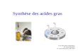 Synthèse des acides gras Cours Biochimie métabolique Pr. Sanae Bouhsain 1 ière année Pharmacie, 2012-2013