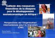 Collecte des ressources financières de la diaspora pour le développement socioéconomique en Afrique : Perspectives de lOrganisation internationale pour