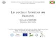 Le secteur forestier au Burundi Sylvestre NDONSE Directeur des forêts Les flux transfrontaliers de bois dans la région des Grands Lacs dans le contexte