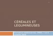CÉRÉALES ET LEGUMINEUSES Formation diététiciennes PARIS 7 et 8 octobre 2009 1