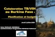 C ollaboration TB/VIH au Burkina Faso : Planification et budget Sary Mathurin DEMBELE Coordonnateur Programme National Tuberculose Jeudi 2 juillet 2009