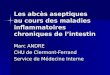 Les abcès aseptiques au cours des maladies inflammatoires chroniques de lintestin Marc ANDRE CHU de Clermont-Ferrand Service de Médecine Interne