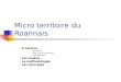Micro territoire du Roannais - 3 notions : - Territoire - Soins de 1er recours - Coordination - Les enjeux - La méthodologie - Les principes