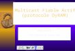 Multicast Fiable Actif (protocole DyRAM) F. BOUHAFS, M. MAIMOUR, C. PHAM INRIA RESO/LIP VTHD++/Brest/03-04 Juillet 2003