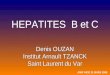 HEPATITES B et C Denis OUZAN Institut Arnault TZANCK Saint Laurent du Var AMIF NICE 31 MARS 2008