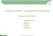 1 Séminaire régional emplois davenir du 29 mars 2013 Emplois davenir - Les enjeux de la formation Présentations OPCA - Uniformation - Agefos - Unifaf -