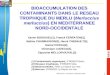 L f r e m e r ANR-ECCO, Toulouse 3-5 décembre 2007 1 BIOACCUMULATION DES CONTAMINANTS DANS LE RESEAU TROPHIQUE DU MERLU (Merluccius merluccius) EN MEDITERRANEE
