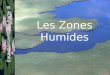 Les Zones Humides Eaux Continentales Partie III. Sommaire Définitions Diversité en France Fonctions & Importance Pressions Protection
