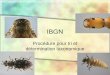 IBGN Procédure pour tri et détermination taxonomique