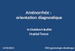 Aménorrhée : orientation diagnostique N Chabbert-Buffet Hopital Tenon 14/10/2013 DES gynécologie obstétrique