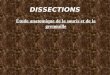 DISSECTIONS Étude anatomique de la souris et de la grenouille