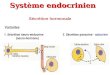 Système endocrinien Sécrétion hormonale. Mode daction des hormones