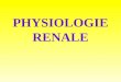 PHYSIOLOGIE RENALE Plan général 1) Caractères de lurine. 2) Formation de lurine. 3) Rôle endocrine du rein