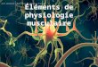 Éléments de physiologie musculaire. Introduction Généralités sur les cellules Enzymes et voies métaboliques Principes et mécanismes de conversion dénergie
