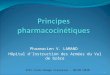 Pharmacien V. LAMAND Hôpital d Instruction des Arm é es du Val de Grâce IFSI Croix-Rouge Française - 04/01/2010 1